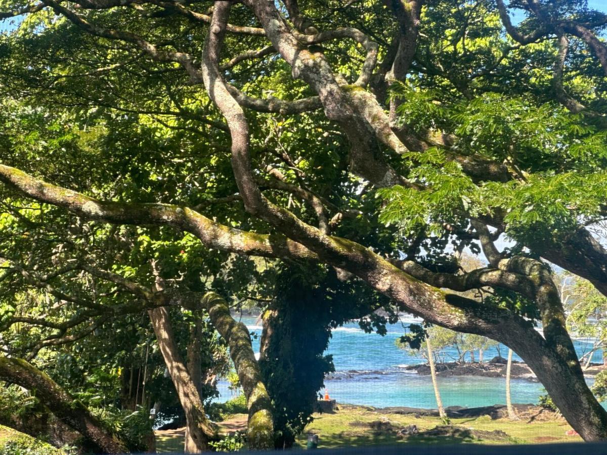 Ocean View Mauna Loa Shores Kai Ekahi #201 Next To Carlsmith Beach Park Hilo Hi Eksteriør bilde