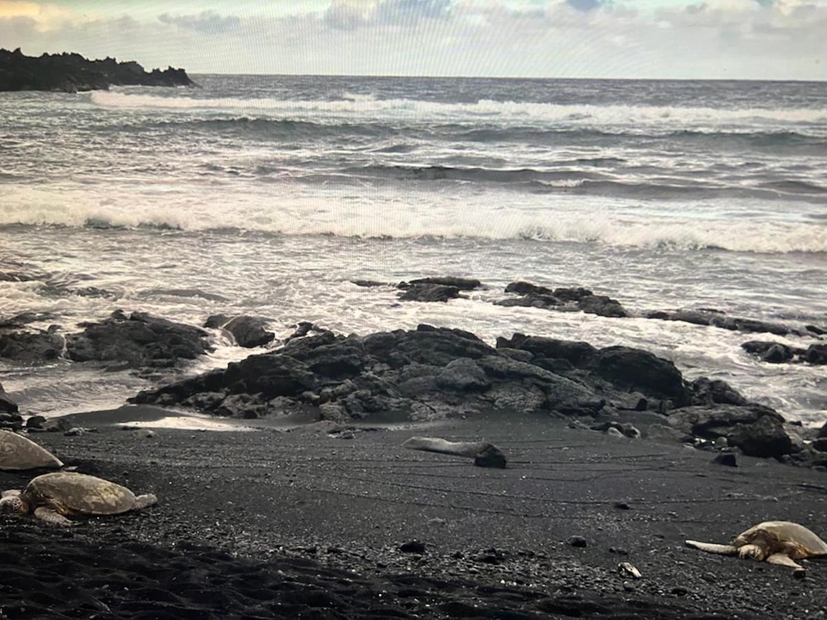 Ocean View Mauna Loa Shores Kai Ekahi #201 Next To Carlsmith Beach Park Hilo Hi Eksteriør bilde
